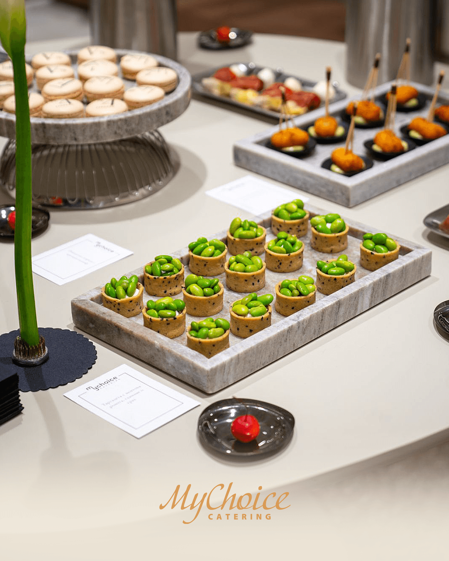 MyChoice Catering и SABORNA No 4
