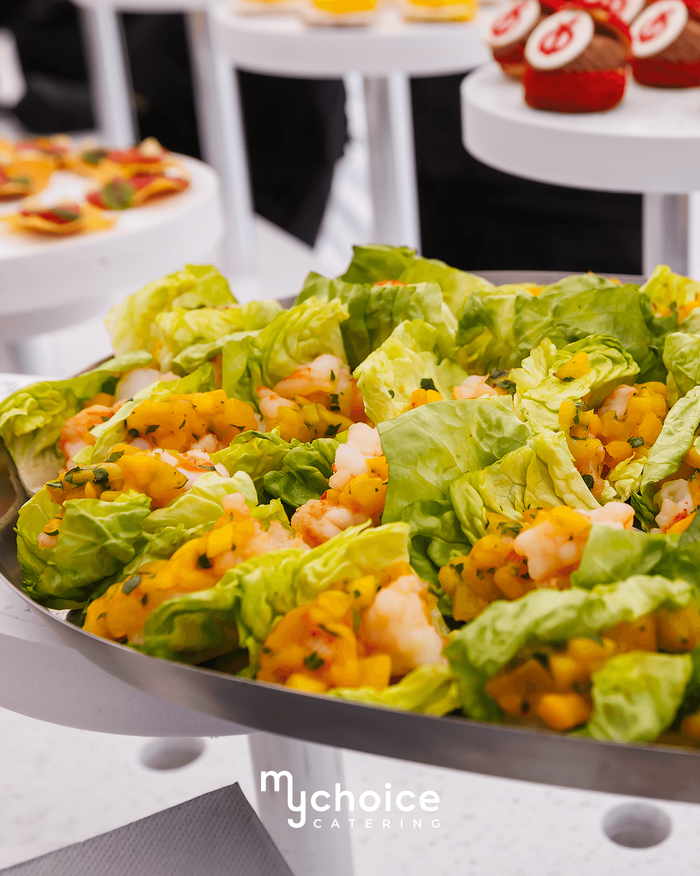 MyChoice Catering и първа копка на „Фантастико“