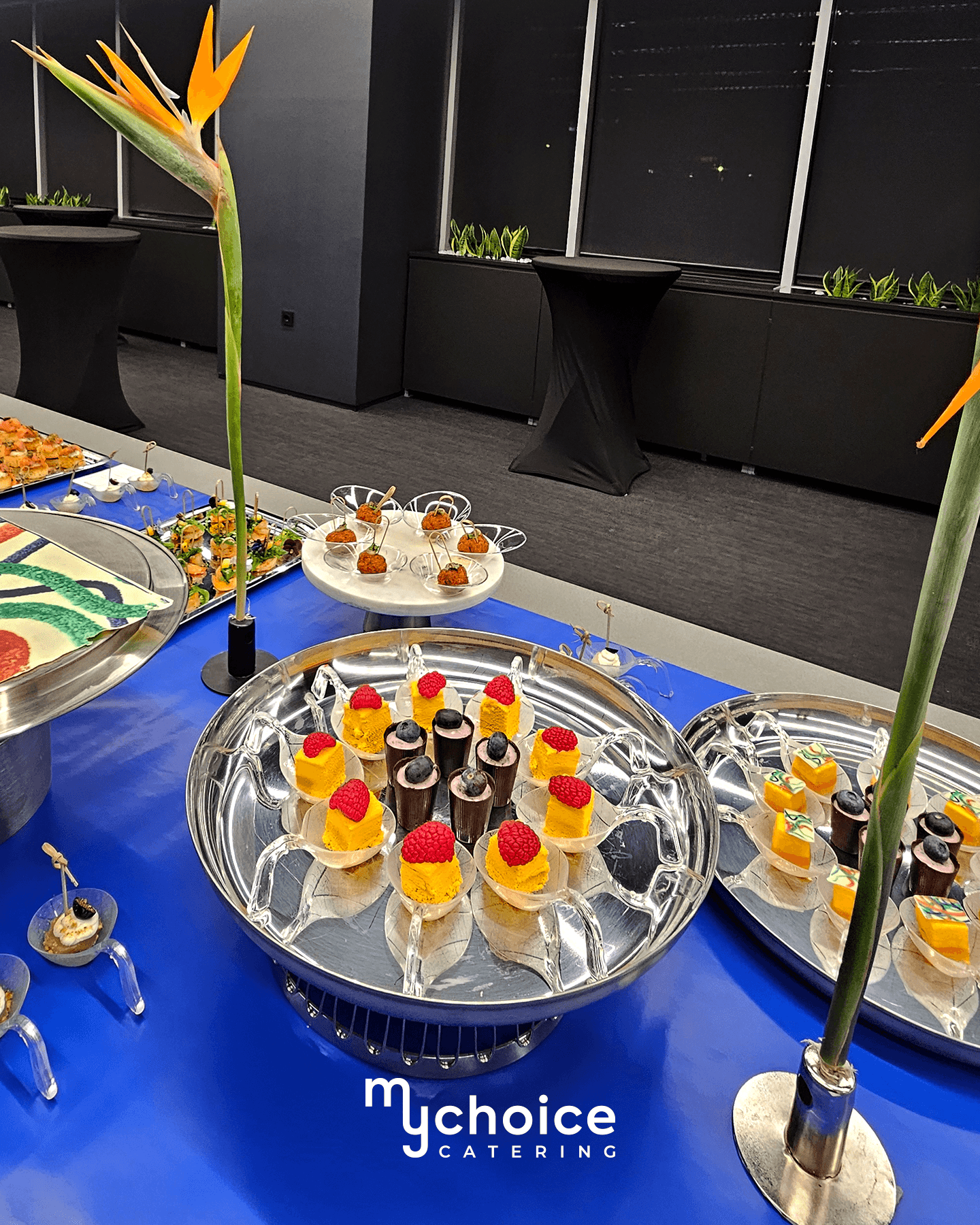 MyChoice Catering — Цвят. Вкус. Детайл.