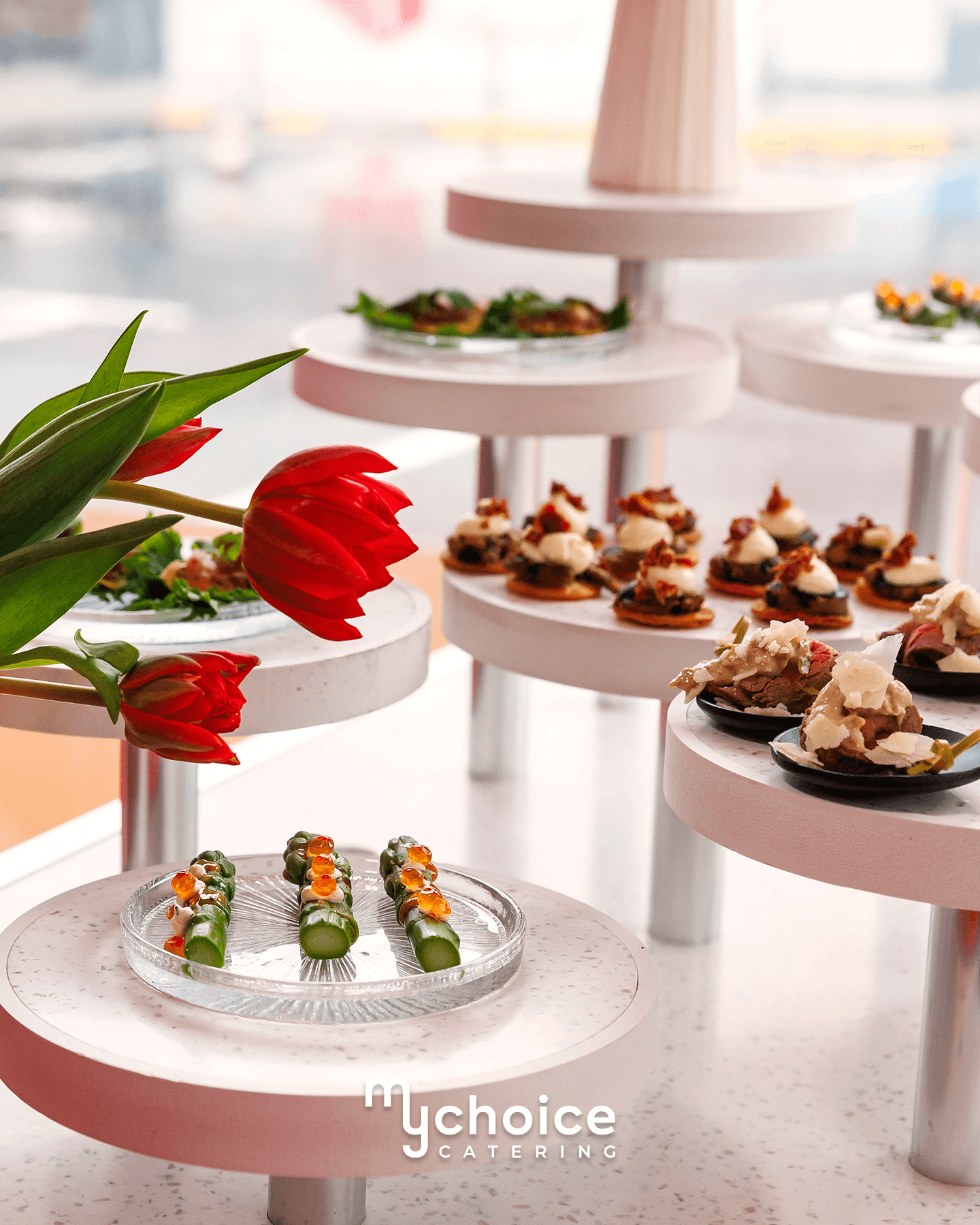 MyChoice Catering × Фантастико Пловдив