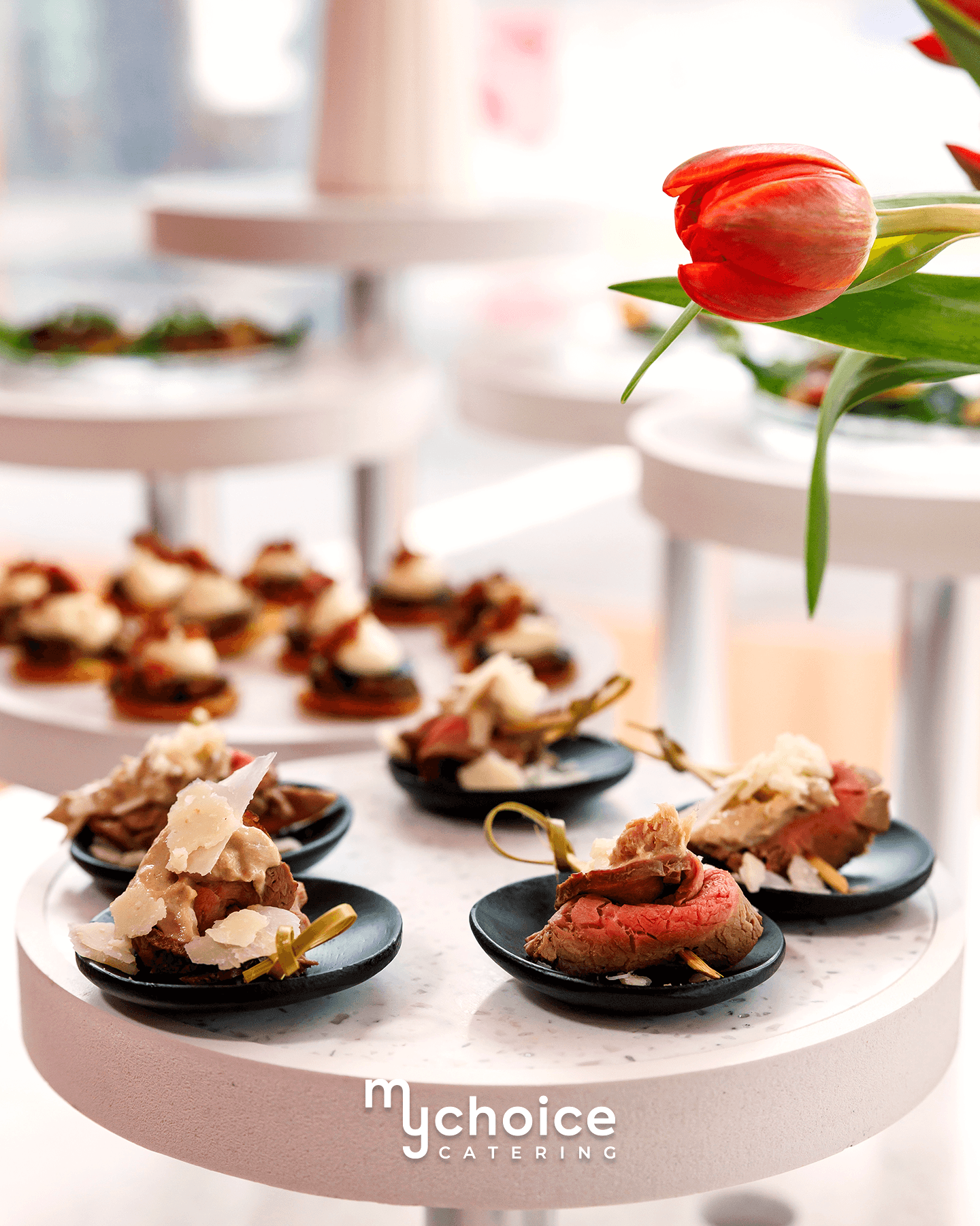 MyChoice Catering × Фантастико Пловдив