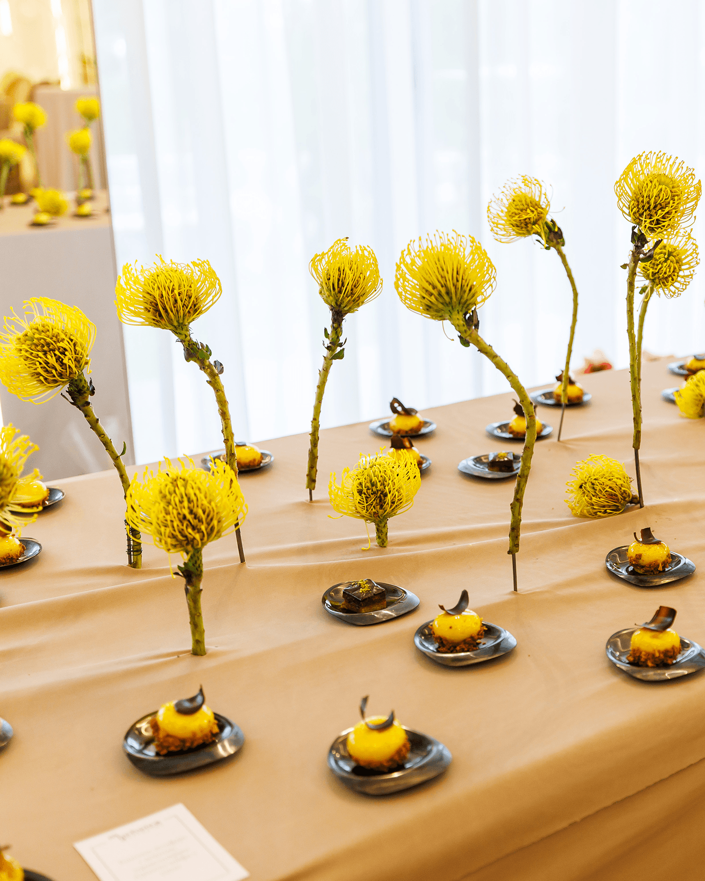 MyChoice Event Space - opening